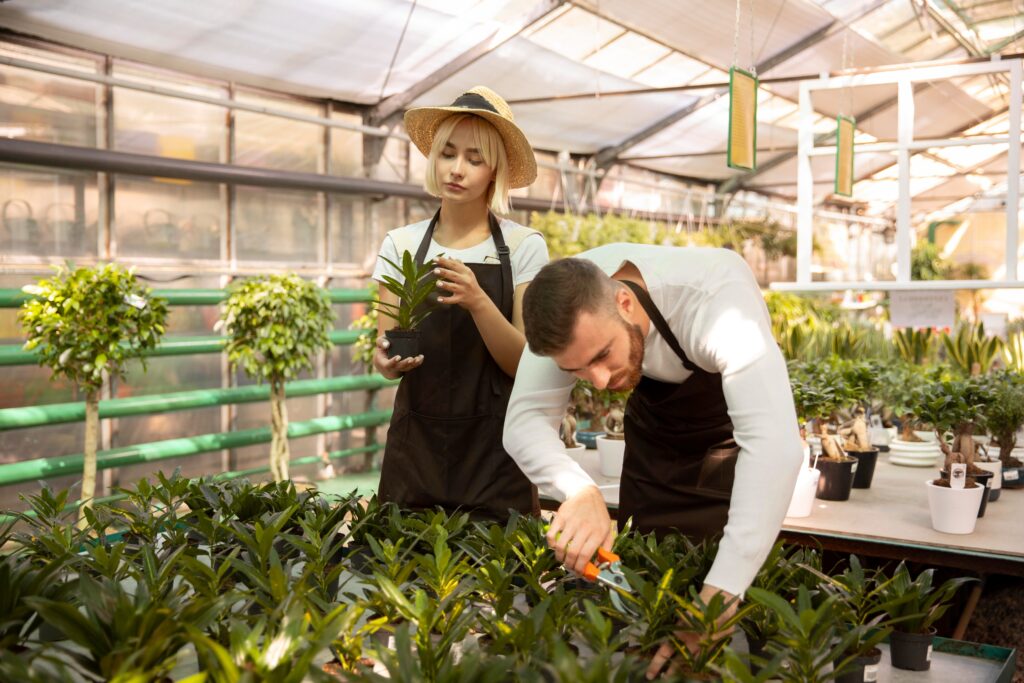 people taking care plants together medium shot (1)