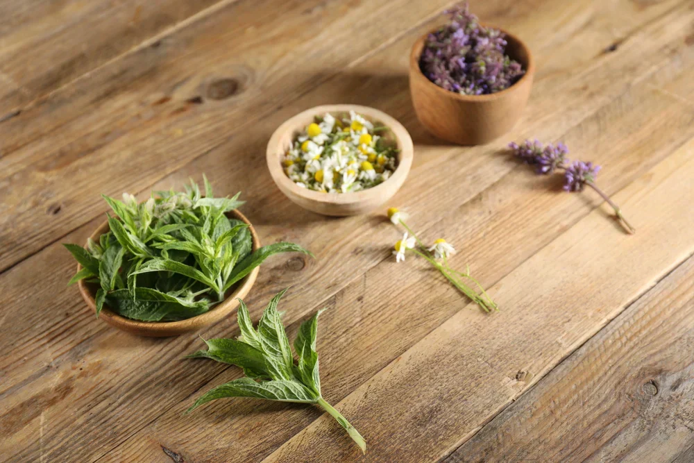 medicinal & herbal farming